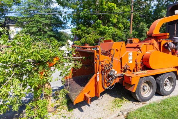 Best Emergency Storm Tree Removal  in Rockdale, IL